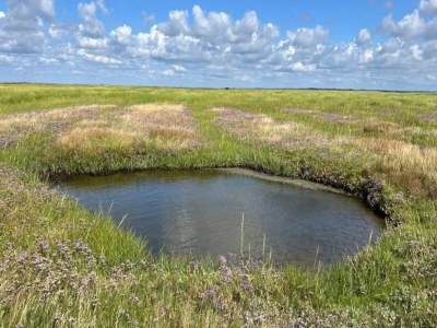 Holiday house 6 Personen Ferienhaus in Ribe-By Traum - Outdoor photo 27