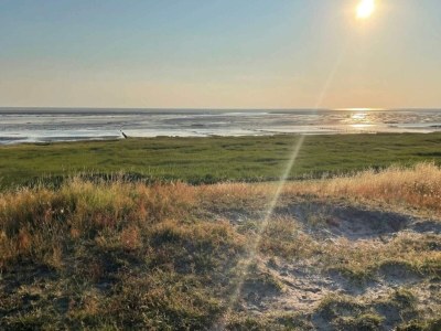 Holiday house 6 Personen Ferienhaus in Ribe-By Traum - Outdoor photo 28