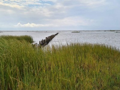 Holiday house 6 Personen Ferienhaus in Ribe-By Traum - Outdoor photo 29