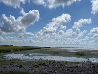 Holiday house 6 Personen Ferienhaus in Ribe-By Traum - Outdoor photo 30