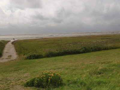 Holiday house 6 Personen Ferienhaus in Ribe-By Traum - Outdoor photo 31