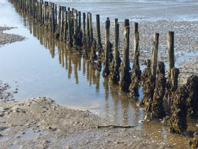 Holiday house 6 Personen Ferienhaus in Ribe-By Traum - Outdoor photo 33