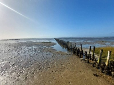 Holiday house 6 Personen Ferienhaus in Ribe-By Traum - Outdoor photo 35