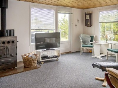 Holiday house 6 person holiday home in Thisted - Outdoor photo 15