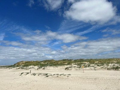 Holiday house Ferienhaus bei Nordseelagune Büsum - Environment photo 27