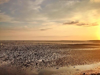 Holiday house Ferienhaus bei Nordseelagune Büsum - Outdoor photo 32