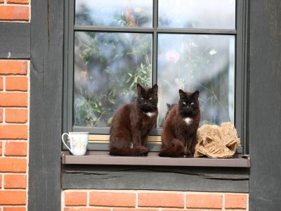 Holiday house Haus-Nr: DMS01091-FYA - Environment photo 37