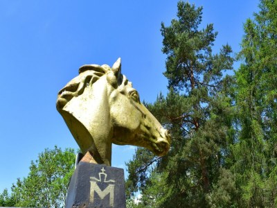 Holiday house Haus-Nr: DMS01091-FYA - Environment photo 39