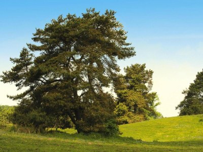 Holiday house Haus-Nr: DMS01091-FYA - Outdoor photo 41