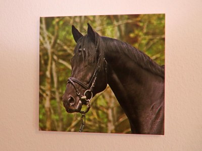 Holiday house Haus-Nr: DMS01091-FYA - Outdoor photo 45