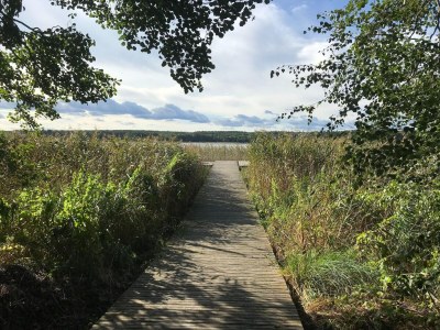 Holiday house Ferienhaus Reet am Useriner See - Environment photo 28