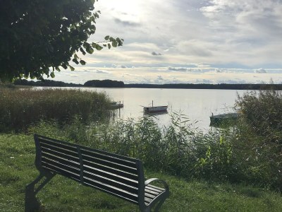 Holiday house Ferienhaus Reet am Useriner See - Environment photo 30