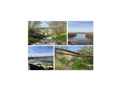 Holiday house Ferienhaus Reet am Useriner See - Environment photo 31