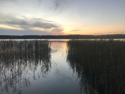 Holiday house Ferienhaus Reet am Useriner See - Environment photo 32