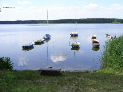 Holiday house Ferienhaus Reet am Useriner See - Outdoor photo 36