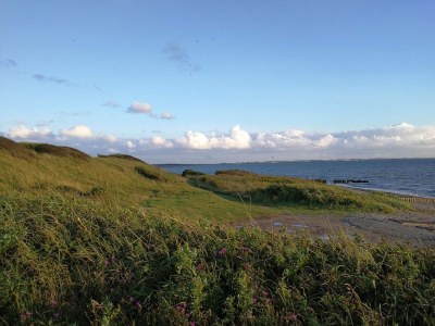 Holiday house 11 person holiday home in Vinderup-By Traum - Outdoor photo 21