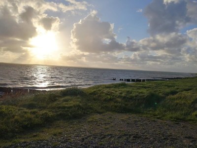 Holiday house 11 person holiday home in Vinderup-By Traum - Outdoor photo 22