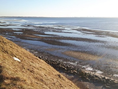 Holiday house 11 person holiday home in Vinderup-By Traum - Outdoor photo 35