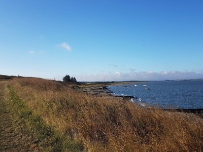 Holiday house 11 person holiday home in Vinderup-By Traum - Outdoor photo 36