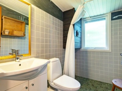 Holiday house 11 person holiday home in Vinderup-By Traum - Outdoor photo 39