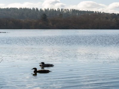 Holiday house 6 Personen Ferienhaus in Kolind-By Traum - Outdoor photo 14