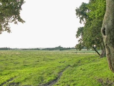 Holiday house 6 Personen Ferienhaus in Kolind-By Traum - Outdoor photo 17