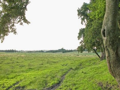 Holiday house 6 Personen Ferienhaus in Kolind-By Traum - Outdoor photo 27