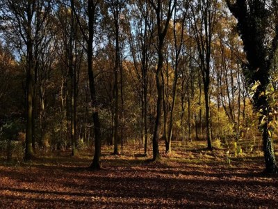 Holiday house 6 Personen Ferienhaus in Kolind-By Traum - Outdoor photo 36