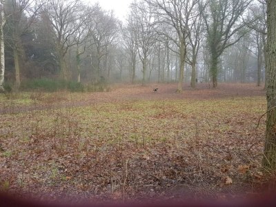 Holiday house 6 Personen Ferienhaus in Kolind-By Traum - Outdoor photo 48