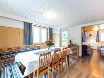 Apartment Wohnung in Sankt Gallenkirch am Skilift - Features photo 13