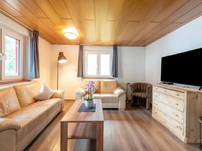 Apartment Wohnung in Sankt Gallenkirch am Skilift - Features photo 21