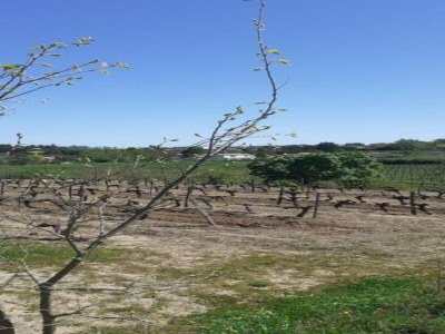 Holiday house Holiday Home in Lablachère with Pool - Environment photo 25