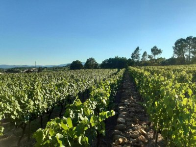 Holiday house Holiday Home in Lablachère with Pool - Environment photo 34