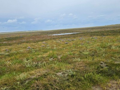 Holiday house Strandparadies im Vadehavet -- By Traum Ferienwohnungen - Outdoor photo 5