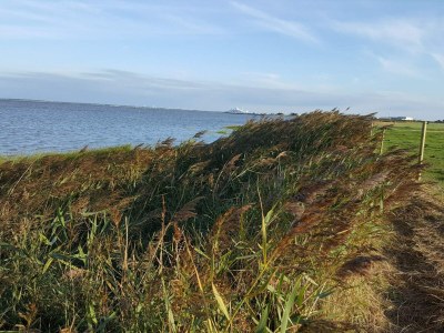 Holiday house Strandparadies im Vadehavet -- By Traum Ferienwohnungen - Outdoor photo 21