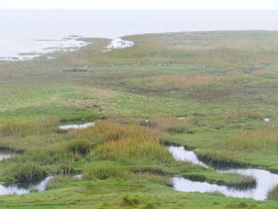 Holiday house Strandparadies im Vadehavet -- By Traum Ferienwohnungen - Outdoor photo 23