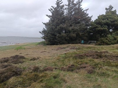 Holiday house 5 Personen Ferienhaus in Tarm-By Traum - Outdoor photo 19