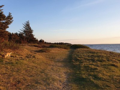 Holiday house 5 Personen Ferienhaus in Tarm-By Traum - Outdoor photo 20