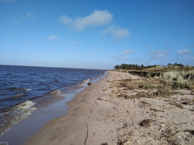 Holiday house 5 Personen Ferienhaus in Tarm-By Traum - Outdoor photo 27