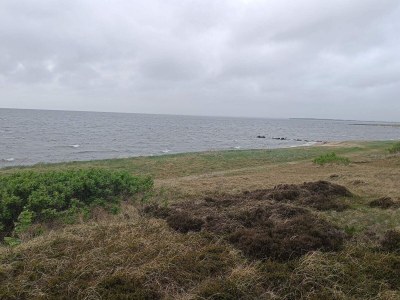 Holiday house 5 Personen Ferienhaus in Tarm-By Traum - Outdoor photo 29