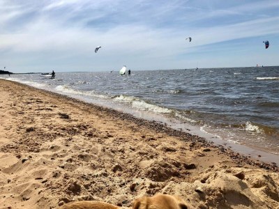 Holiday house 5 Personen Ferienhaus in Tarm-By Traum - Outdoor photo 34