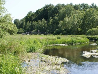 Holiday house 5 person holiday home in Hovborg-By Traum - Outdoor photo 18