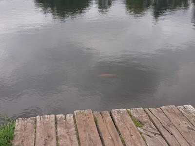 Holiday house 5 person holiday home in Hovborg-By Traum - Outdoor photo 29