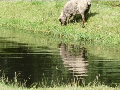 Holiday house 5 person holiday home in Hovborg-By Traum - Outdoor photo 31