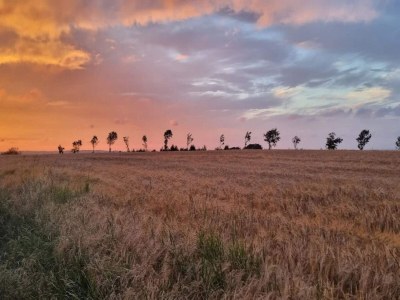 Holiday house 10 Personen Ferienhaus in Roslev-By Traum - Outdoor photo 32