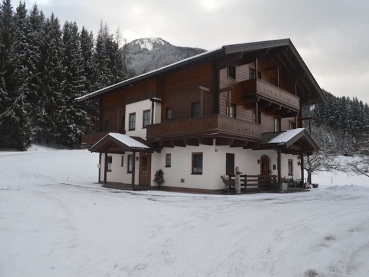 Apartment Chalet in Mittersill near Ski Slopes - Outdoor photo 3