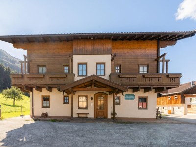 Apartment Chalet in Mittersill near Ski Slopes - Outdoor photo 4