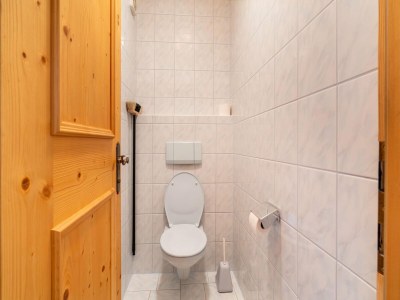 Apartment Chalet in Mittersill near Ski Slopes - Features photo 7