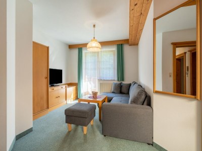 Apartment Chalet in Mittersill near Ski Slopes - Features photo 8