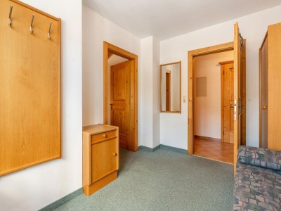 Apartment Chalet in Mittersill near Ski Slopes - Features photo 9